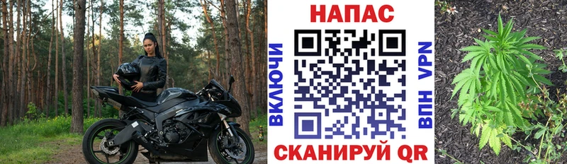 Шишки марихуана планчик Можайск